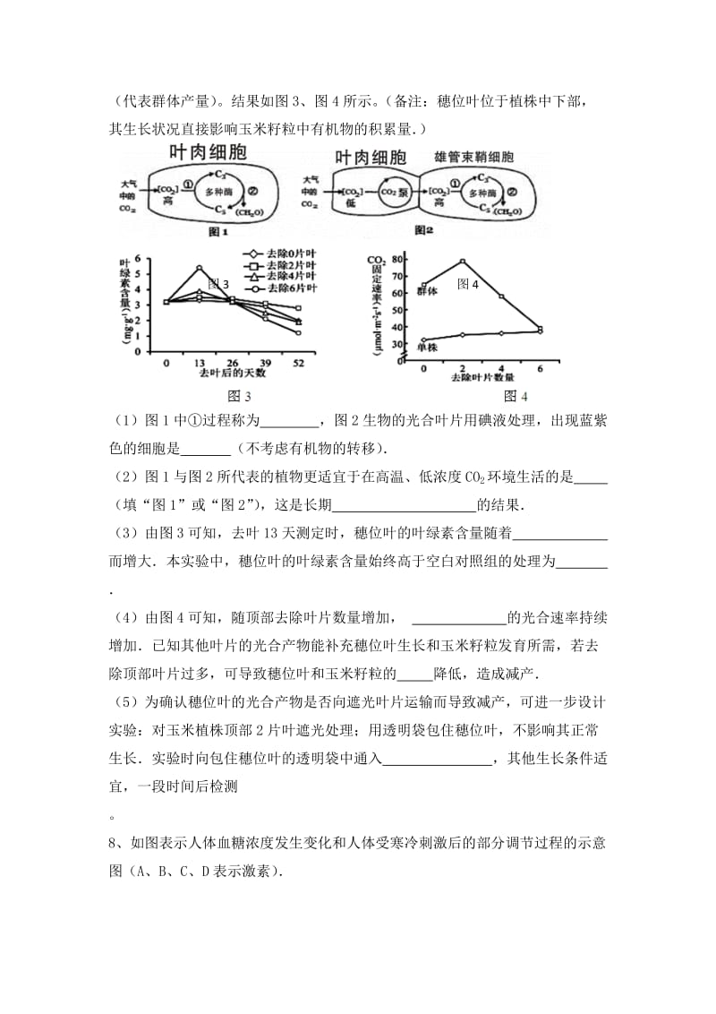 2019-2020年高三第四次周练理科综合能力测试生物部分试题 含答案.doc_第3页