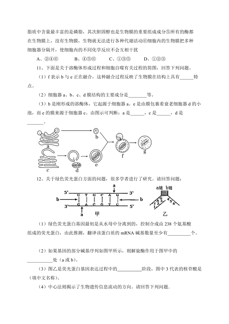 2019-2020年高三上学期生物统练题（12月） 含答案.doc_第3页