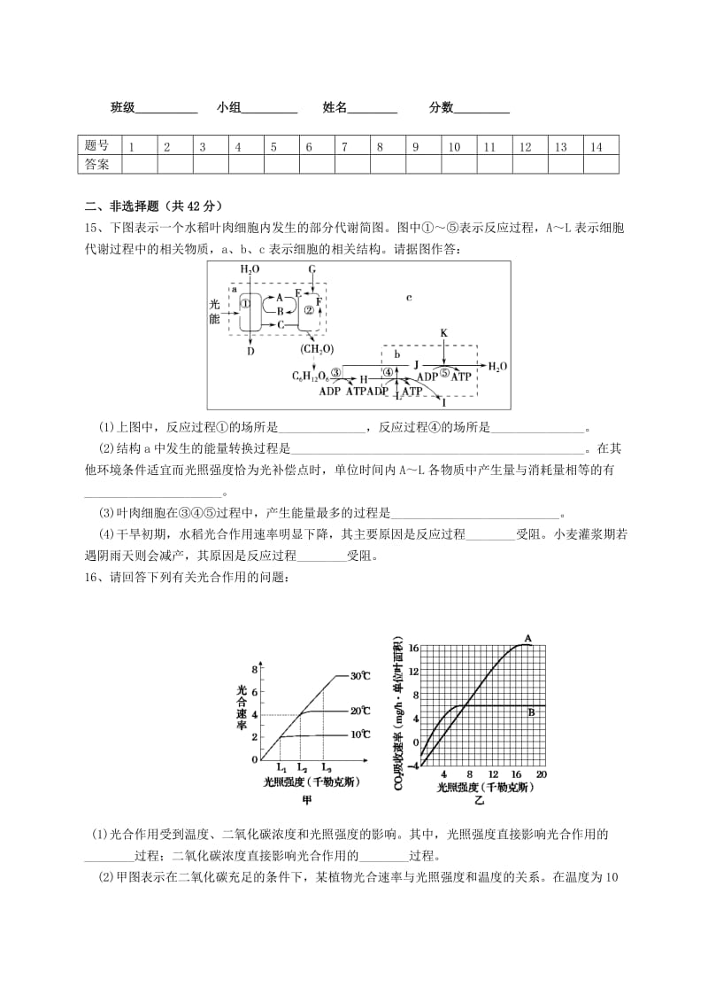 2019-2020年高三生物一轮复习 能量之源 光与光合作用训练.doc_第3页