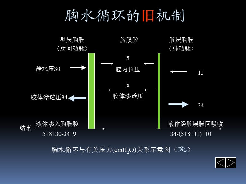 胸腔积液PPT课件_第3页