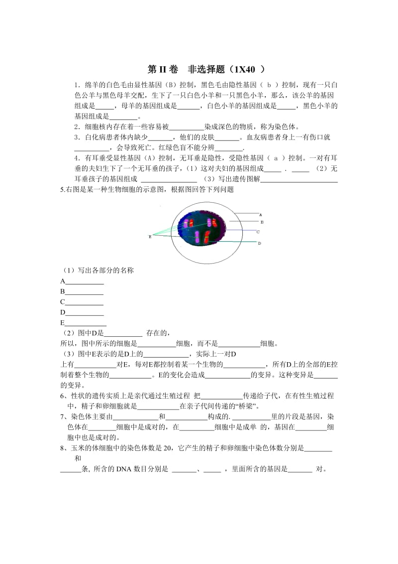 八年级生物下册学第二章检测题和答案.doc_第3页