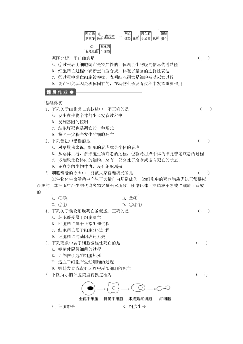 2019-2020年高中生物 第五章 第27课时 细胞分化、衰老和凋亡（二）课时作业（含解析）苏教版必修1.doc_第2页