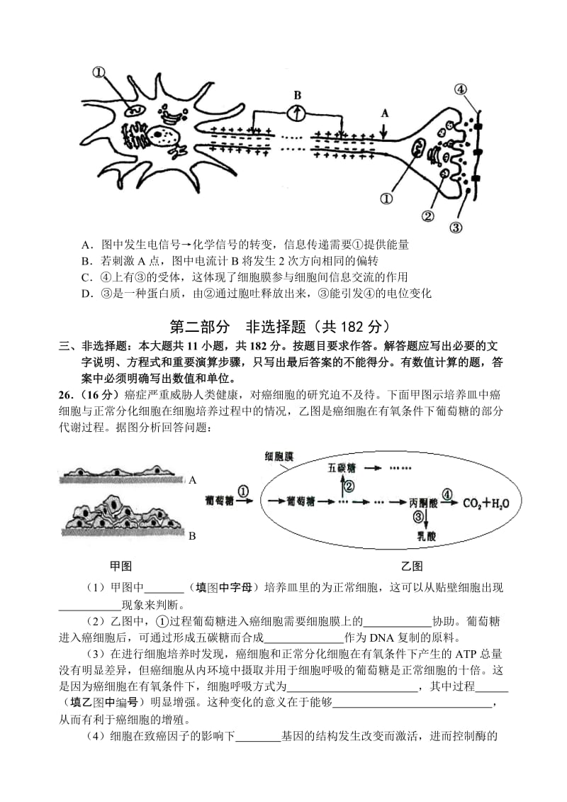 2019-2020年高三上学期综合测试（二）生物试题 含答案.doc_第3页