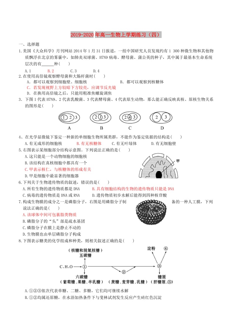 2019-2020年高一生物上学期练习（四）.doc_第1页