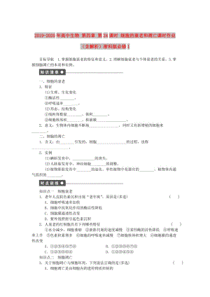 2019-2020年高中生物 第四章 第24課時(shí) 細(xì)胞的衰老和凋亡課時(shí)作業(yè)（含解析）浙科版必修1.doc