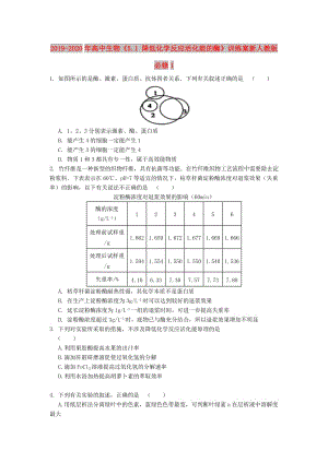 2019-2020年高中生物《5.1 降低化學(xué)反應(yīng)活化能的酶》訓(xùn)練案新人教版必修1.doc