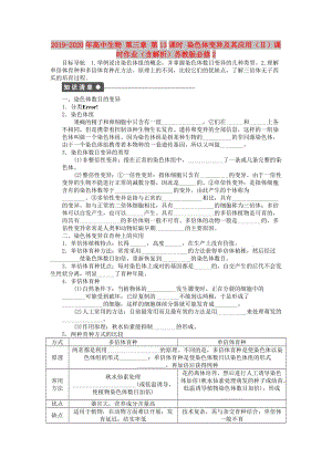 2019-2020年高中生物 第三章 第13課時 染色體變異及其應(yīng)用（Ⅱ）課時作業(yè)（含解析）蘇教版必修2.doc