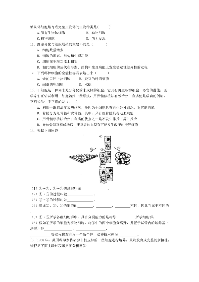 2019-2020年高中生物《6.2 细胞的分化》训练案新人教版必修1.doc_第2页