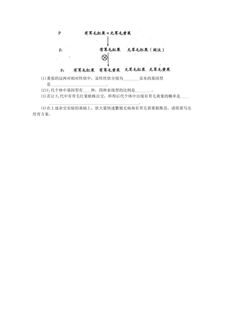 2019-2020年高三生物考前练笔（三）.doc_第3页