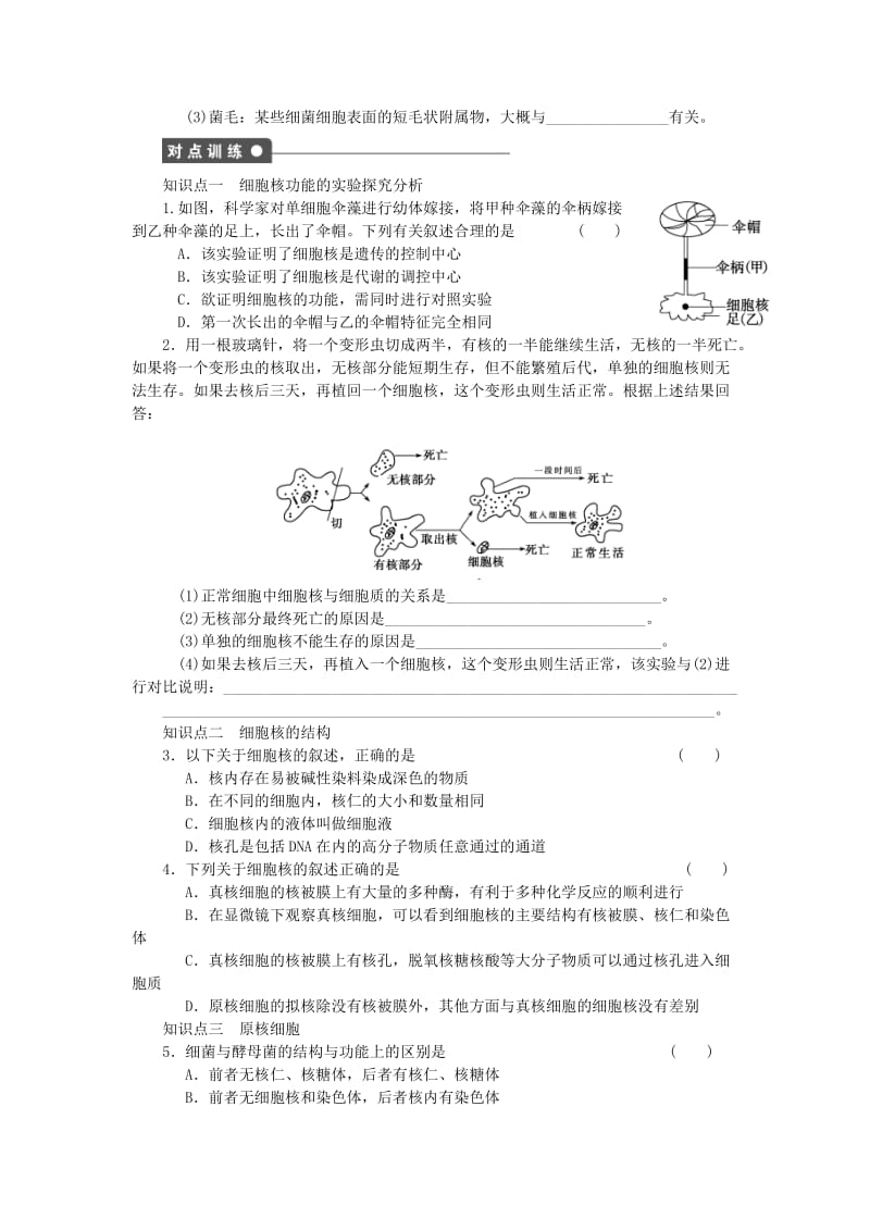 2019-2020年高中生物 第二章 第9课时 细胞核 原核细胞课时作业（含解析）浙科版必修1.doc_第2页