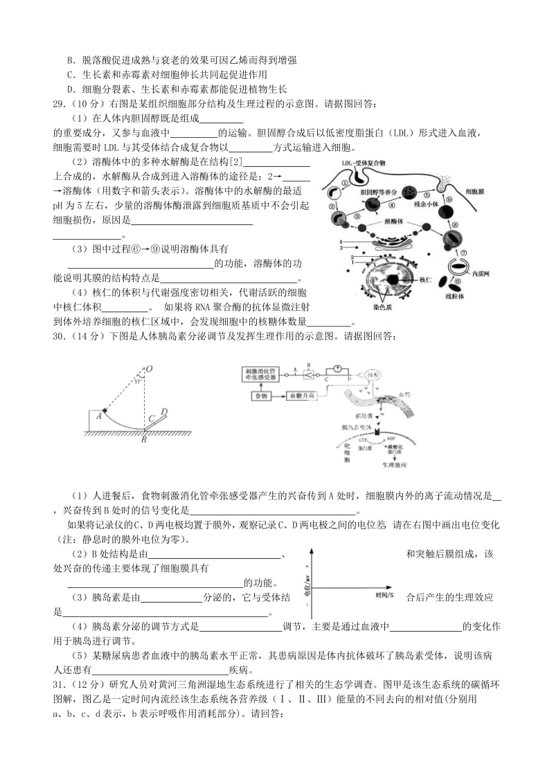 2019-2020年高一生物限时综合训练（7）.doc_第2页