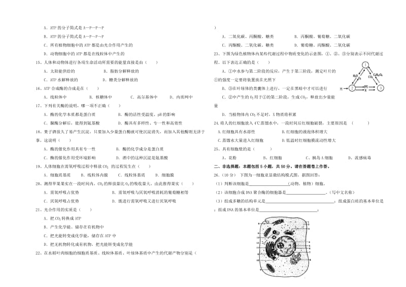 2019-2020年高三生物复习 测试题.doc_第2页