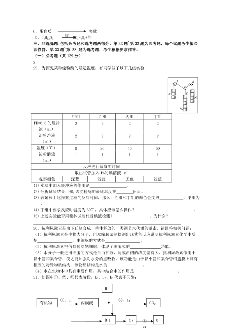 2019-2020年高三生物上学期期中试题（A卷）.doc_第2页