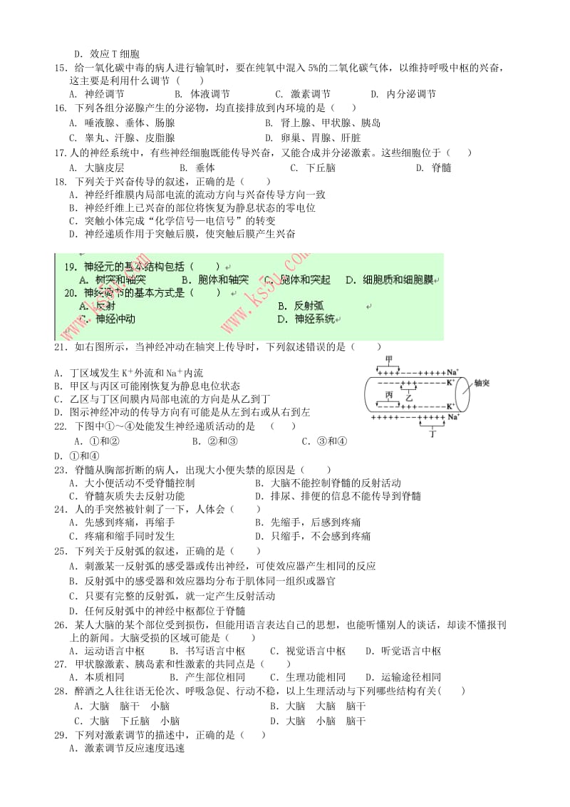 2019-2020年高二生物上学期期中试题（必修）新人教版.doc_第2页