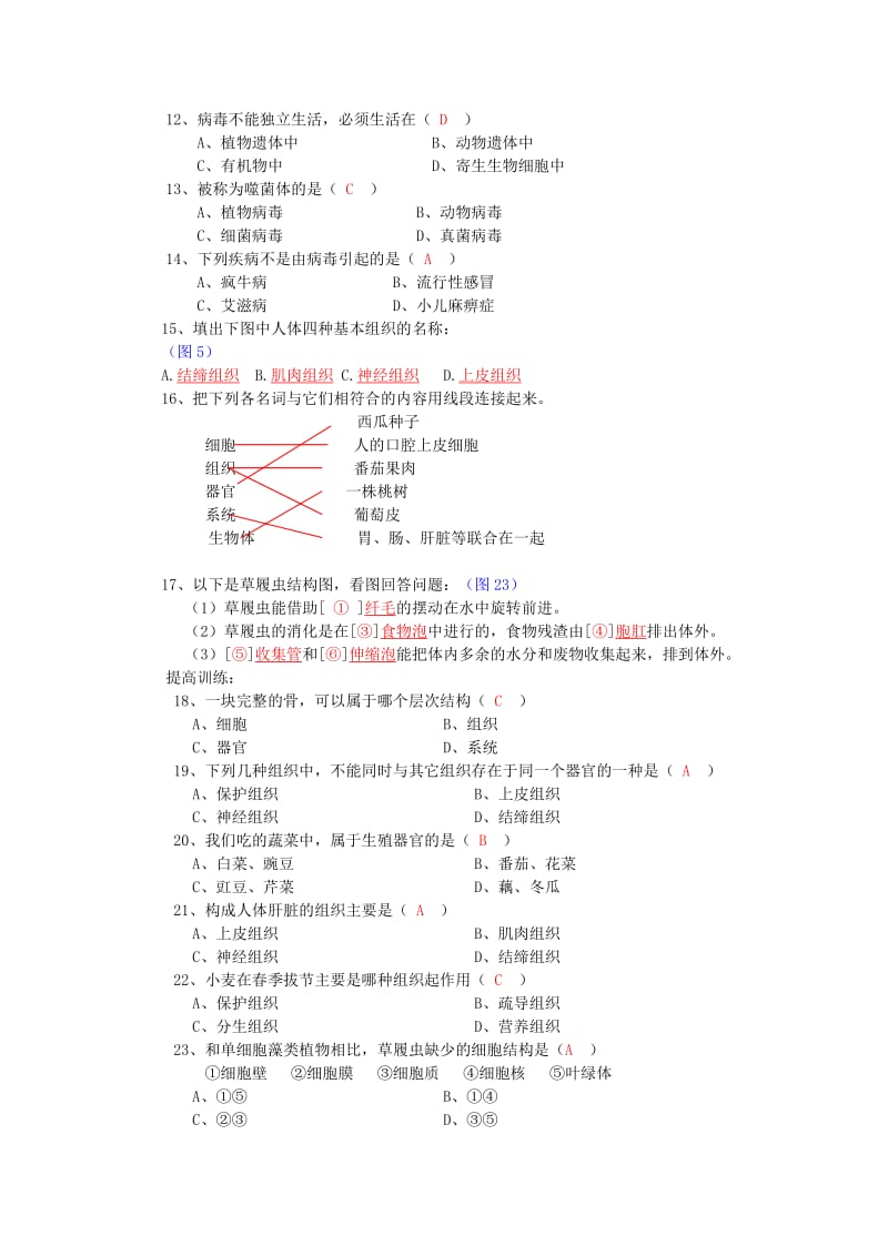 2019-2020年高三生物 细胞怎样构成生物体知识点过关测试 .doc_第3页