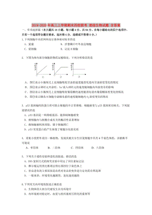 2019-2020年高三上學期期末四校聯(lián)考 理綜生物試題 含答案.doc