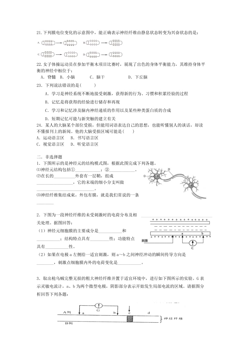 2019-2020年高中生物 第二章 第一节 通过神经系统的调节练习题 新人教版必修3.doc_第3页