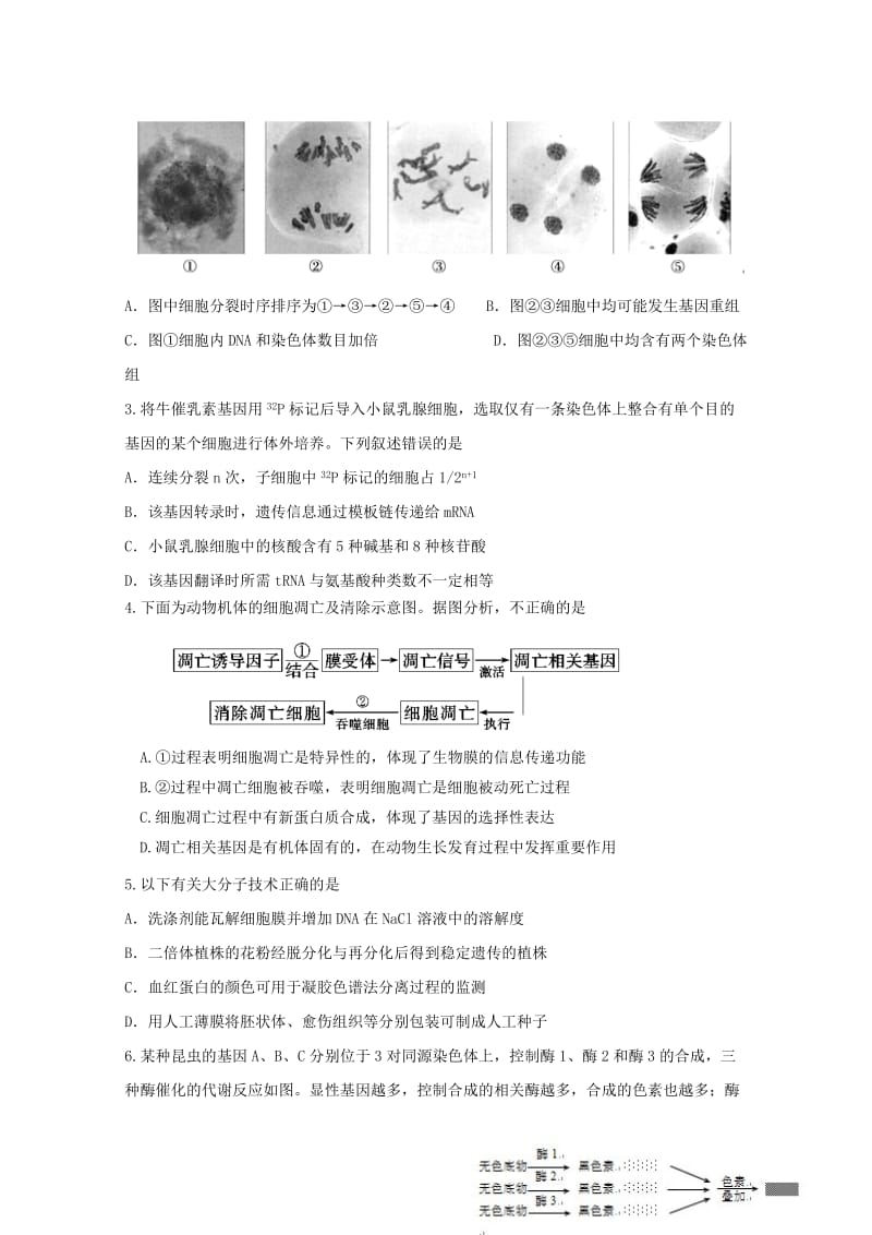 2019-2020年高三第一次月考理综生物试题 含答案.doc_第2页