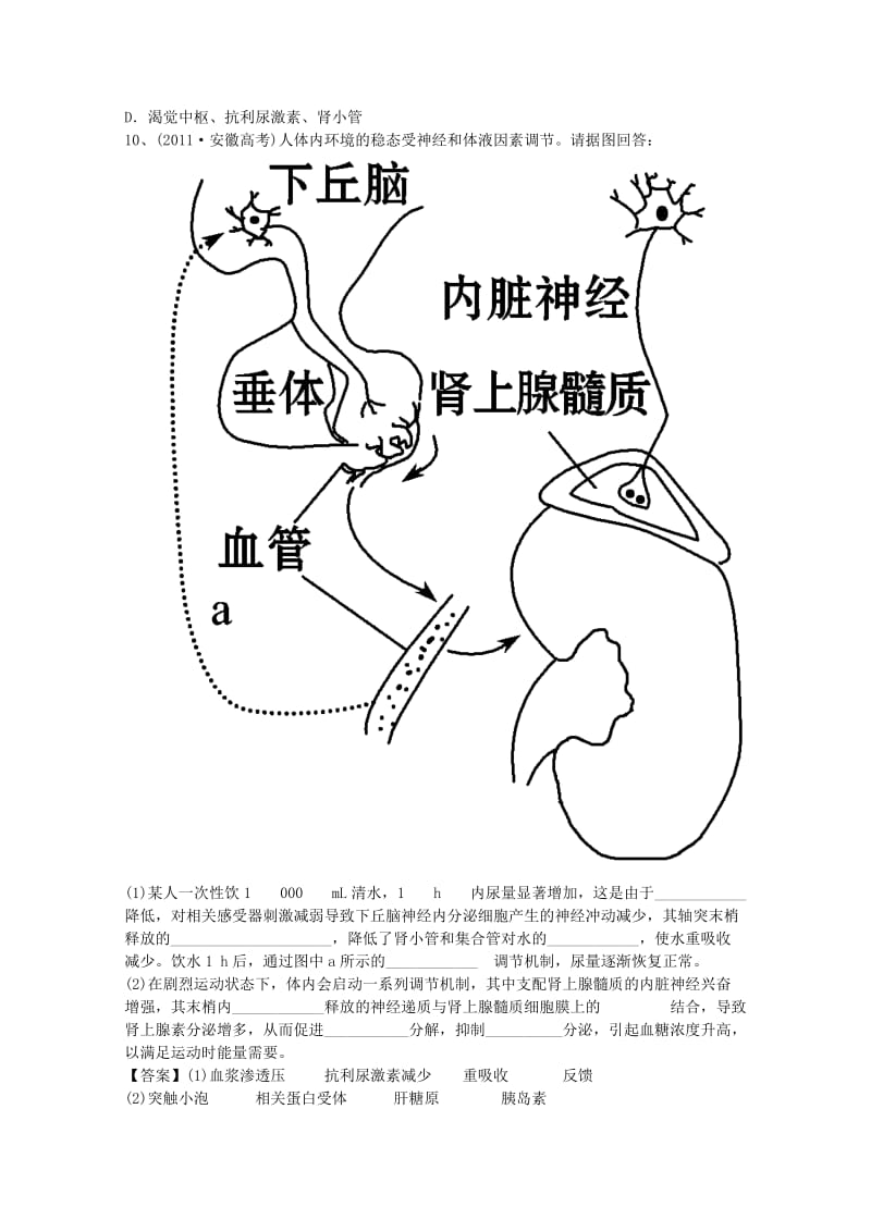 2019-2020年高三生物人体的激素调节复习题2.doc_第3页