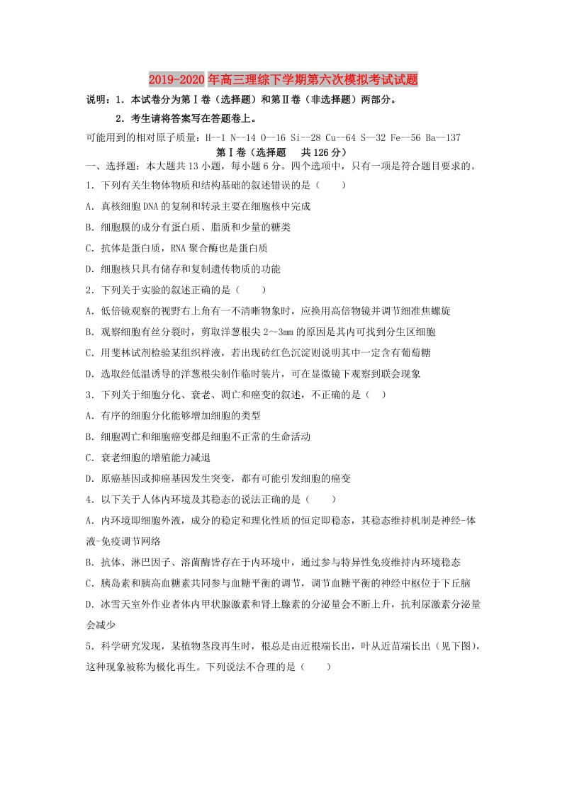 2019-2020年高三理综下学期第六次模拟考试试题.doc_第1页