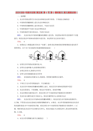 2019-2020年高中生物 第五章 第4節(jié) 第2課時練習 新人教版必修1.doc