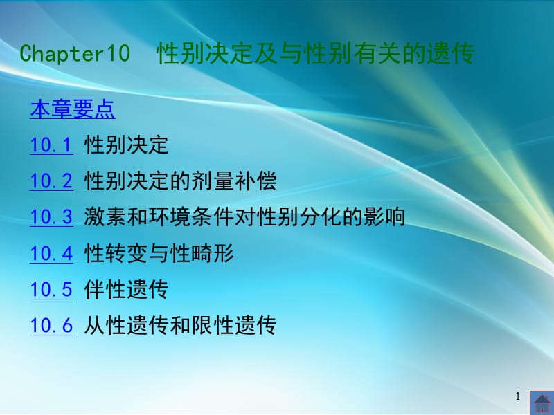 性别决定及相关遗传ppt课件_第1页