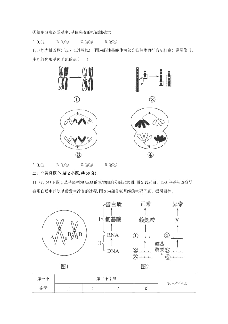 2019-2020年高三生物 基因突变和基因重组课时作业.doc_第3页