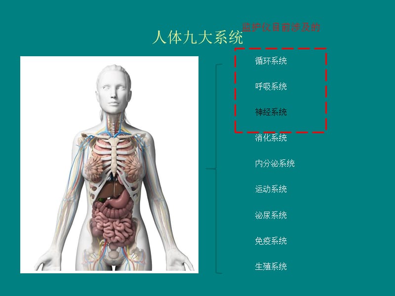 血流动力学临床应用_第2页