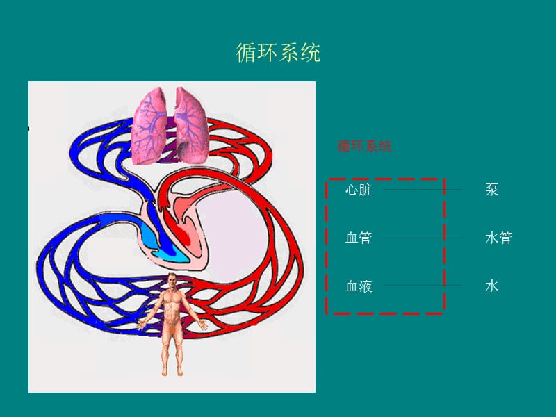 血流动力学临床应用_第3页