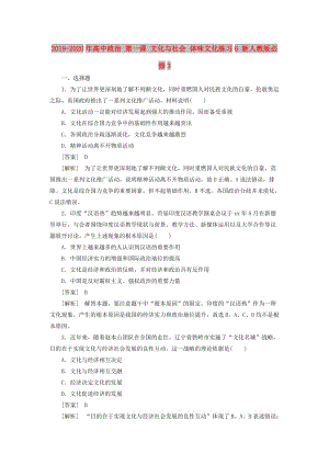 2019-2020年高中政治 第一課 文化與社會 體味文化練習6 新人教版必修3.doc