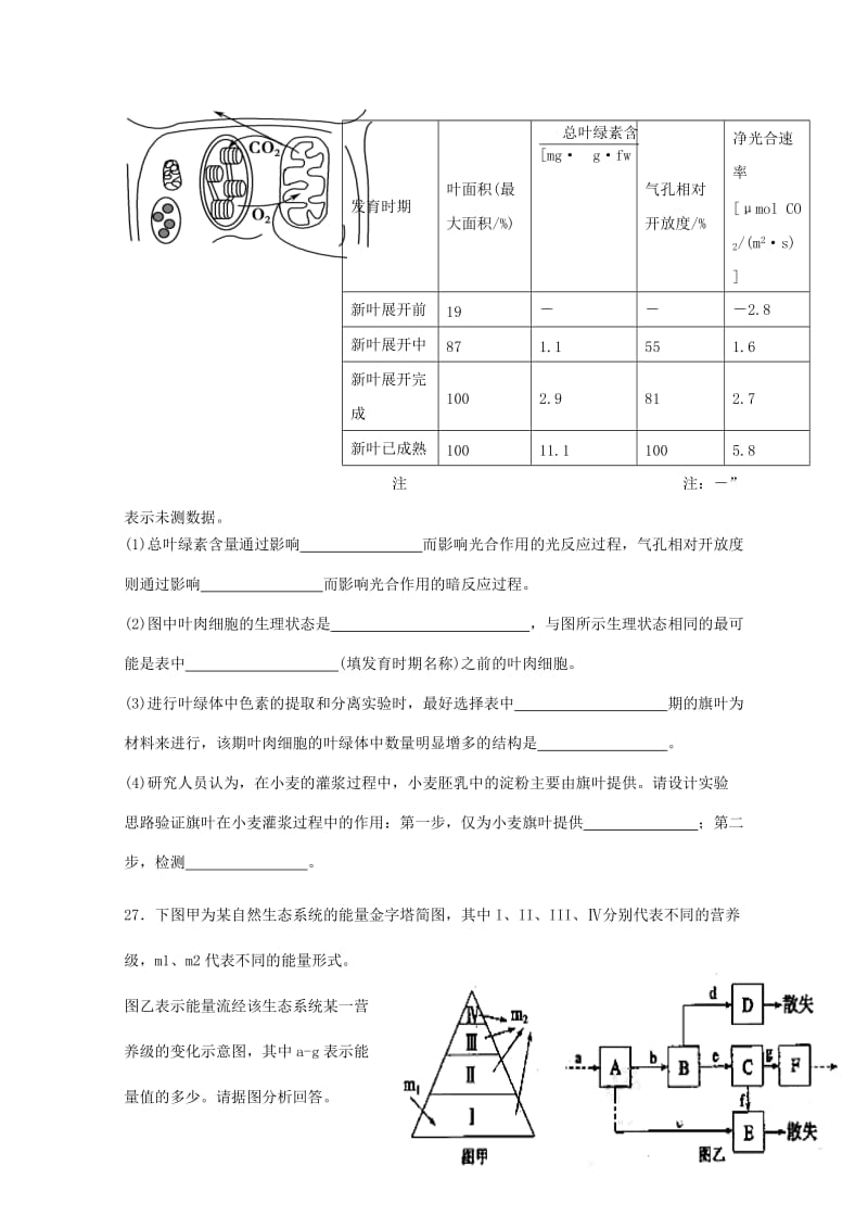 2019-2020年高三生物一轮综合测试三调模拟试题.doc_第3页