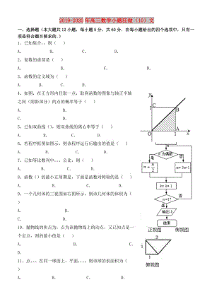 2019-2020年高三數(shù)學(xué)小題狂做（10）文.doc