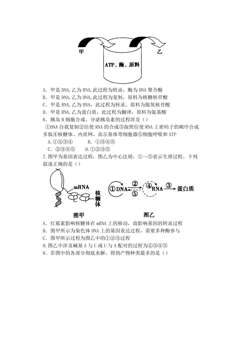 2019-2020年高中生物同步培优资料 微专题19 遗传的分子基础小综合 新人教版必修2.doc_第2页