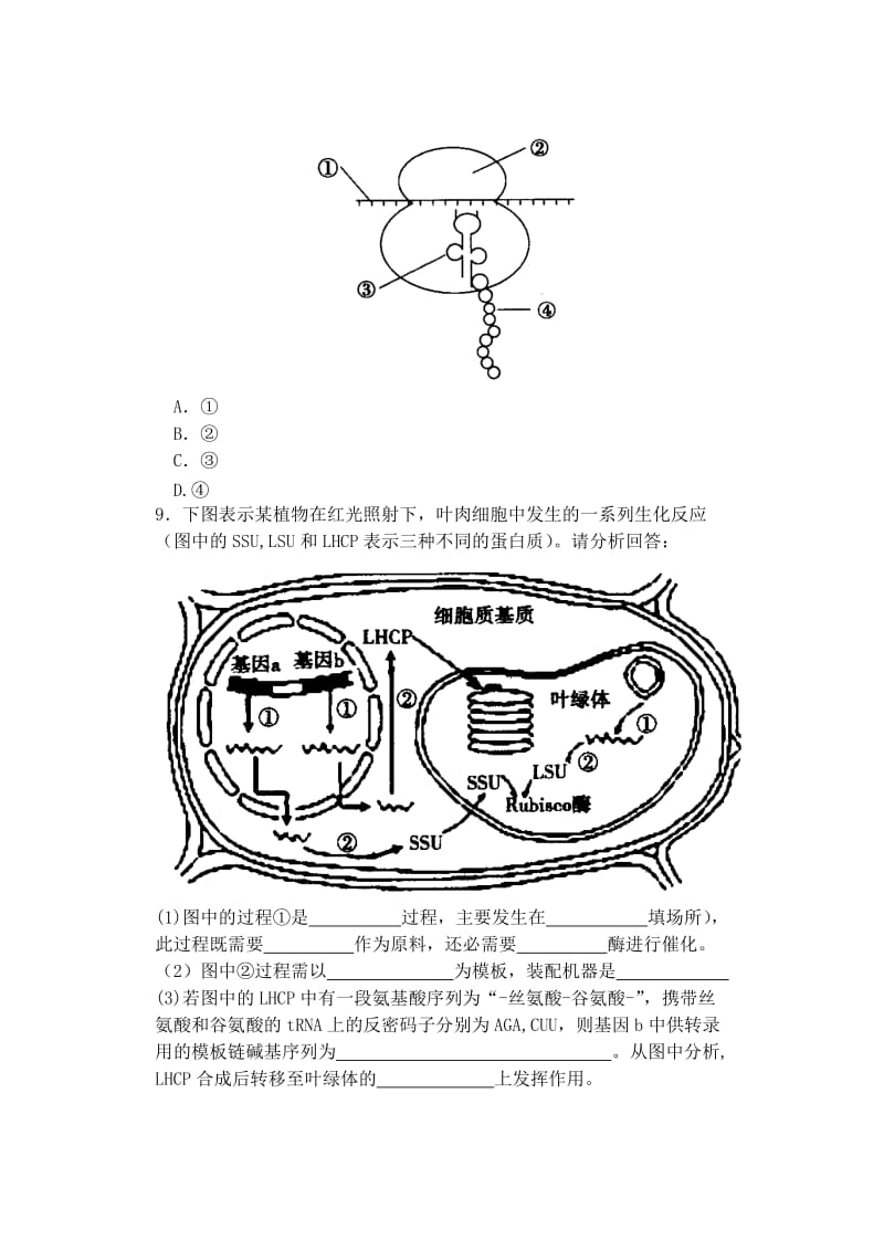 2019-2020年高中生物同步培优资料 微专题19 遗传的分子基础小综合 新人教版必修2.doc_第3页