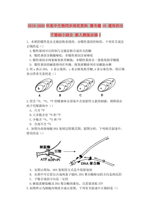 2019-2020年高中生物同步培優(yōu)資料 微專題19 遺傳的分子基礎(chǔ)小綜合 新人教版必修2.doc