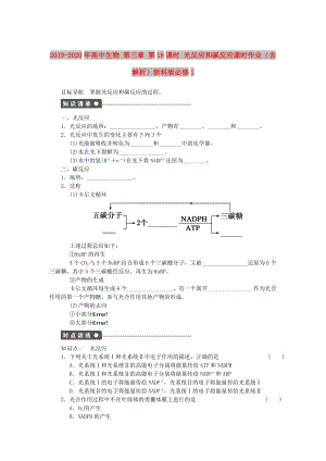 2019-2020年高中生物 第三章 第18課時 光反應和碳反應課時作業(yè)（含解析）浙科版必修1.doc