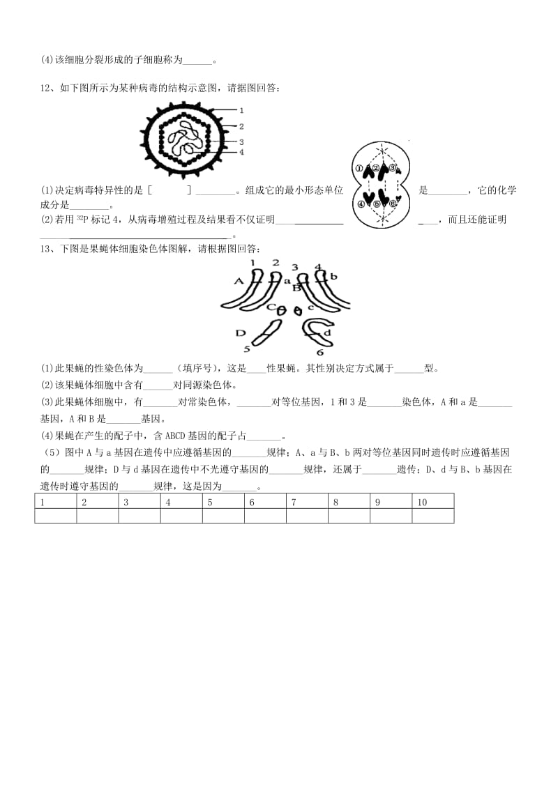 2019-2020年高一生物下学期第20周周末练习.doc_第2页