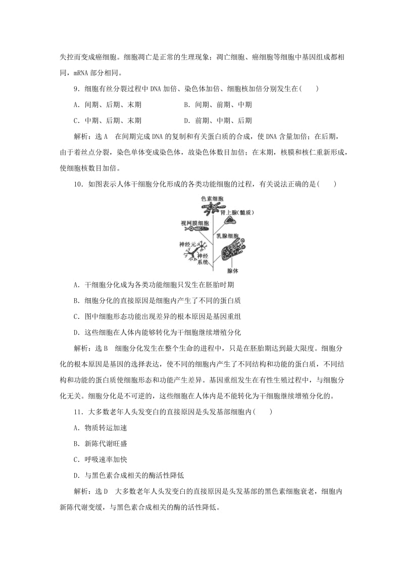 2019-2020年高中生物 第六章 阶段质量检测四 新人教版必修1.doc_第3页