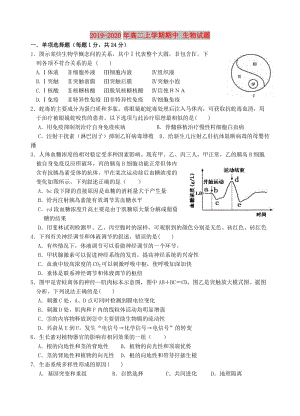 2019-2020年高二上學(xué)期期中 生物試題.doc