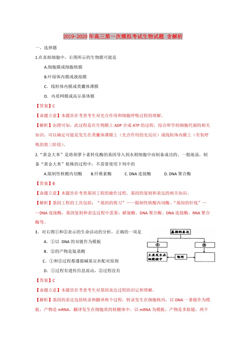 2019-2020年高三第一次模拟考试生物试题 含解析.doc_第1页