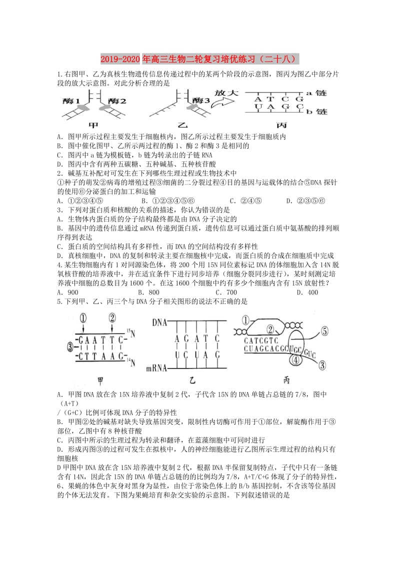 2019-2020年高三生物二轮复习培优练习（二十八）.doc_第1页