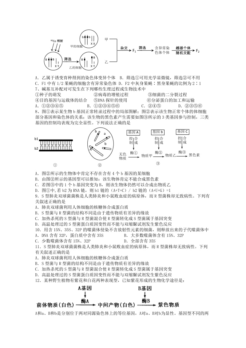 2019-2020年高三生物二轮复习培优练习（二十八）.doc_第2页