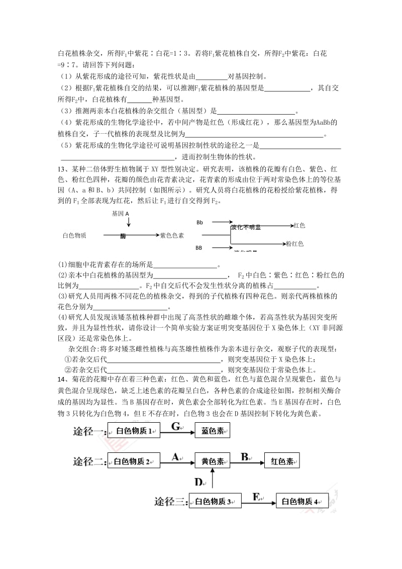 2019-2020年高三生物二轮复习培优练习（二十八）.doc_第3页