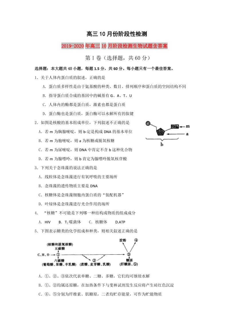 2019-2020年高三10月阶段检测生物试题含答案.doc_第1页