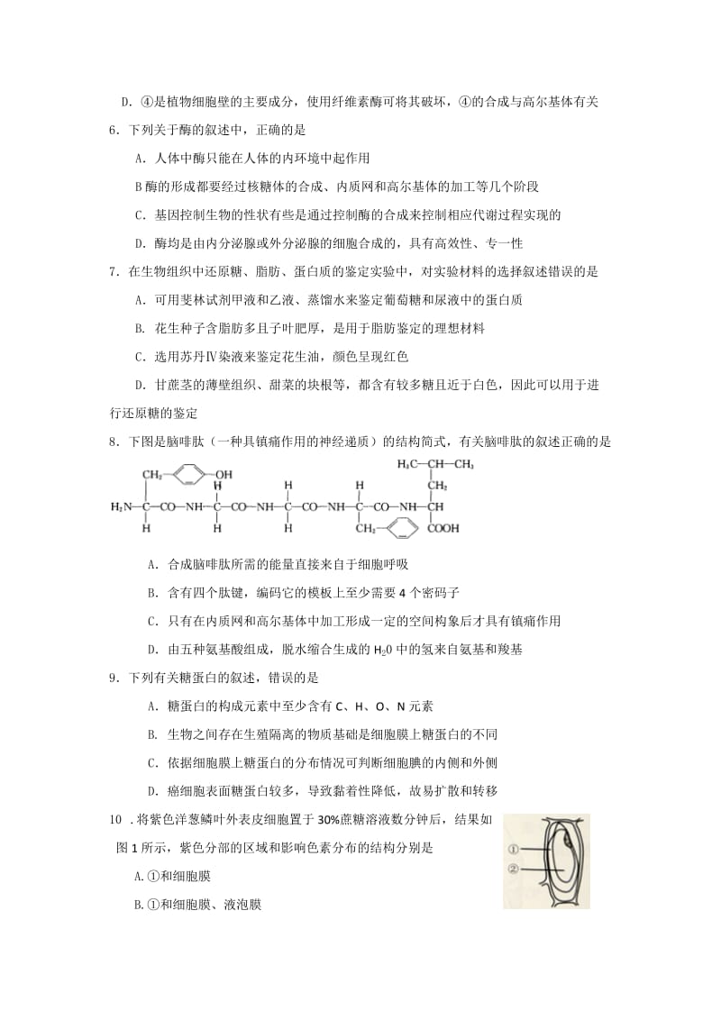 2019-2020年高三10月阶段检测生物试题含答案.doc_第2页