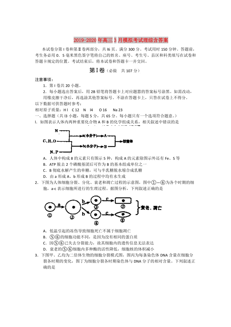 2019-2020年高三3月模拟考试理综含答案.doc_第1页