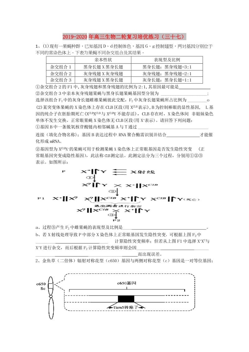 2019-2020年高三生物二轮复习培优练习（三十七）.doc_第1页