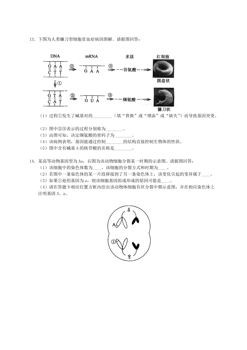 2019-2020年高中生物《第5章 基因突变及其他变异》检测题新人教版必修2.doc_第2页