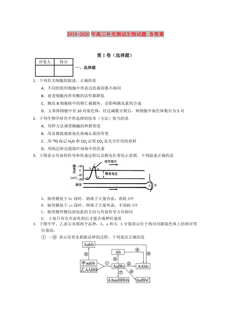 2019-2020年高三补充测试生物试题 含答案.doc_第1页