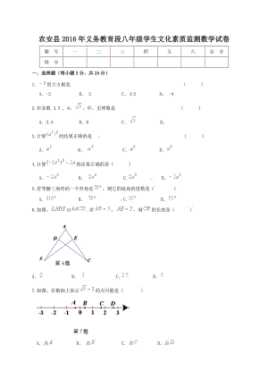 長春農(nóng)安縣2016-2017年八年級上學(xué)期文化素質(zhì)監(jiān)測數(shù)學(xué)試題及答案.doc